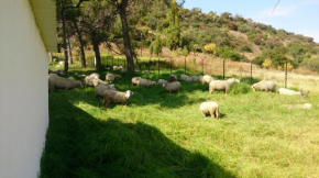  Springwater Cottages  Ficksburg